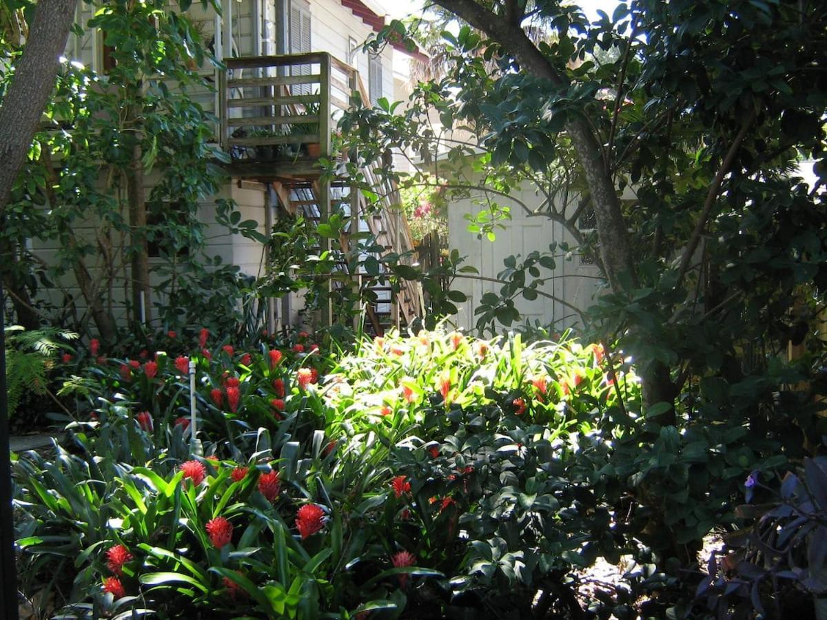דירות סיינט פיטרסברג The Treehouse מראה חיצוני תמונה